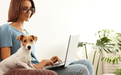 Uberisation des services à la personne. Entre risque et opportunité